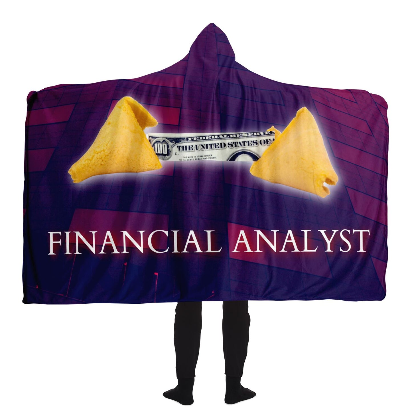 Financial Analyst