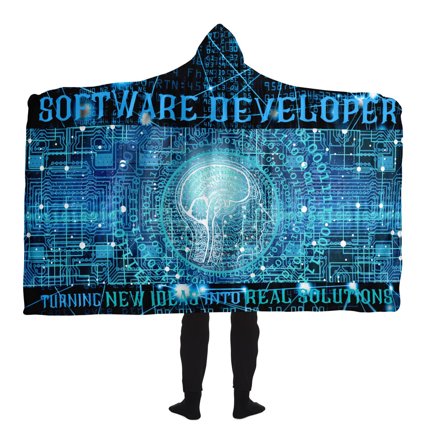 Software Developer